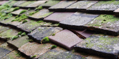 Kingscote roof repair costs